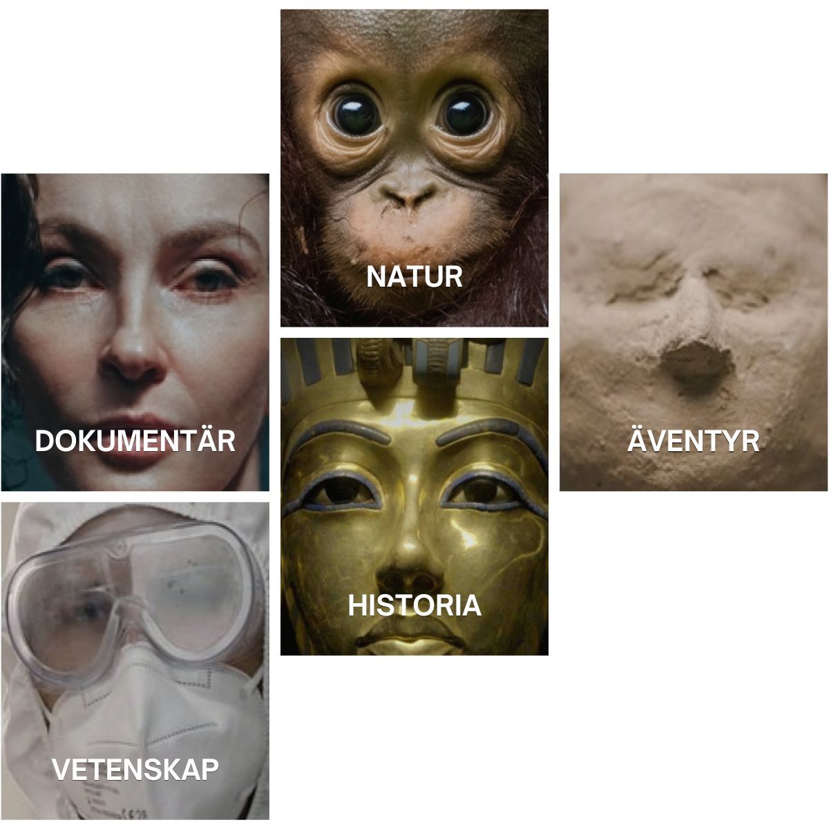 Kunskapskanalens programkategorier