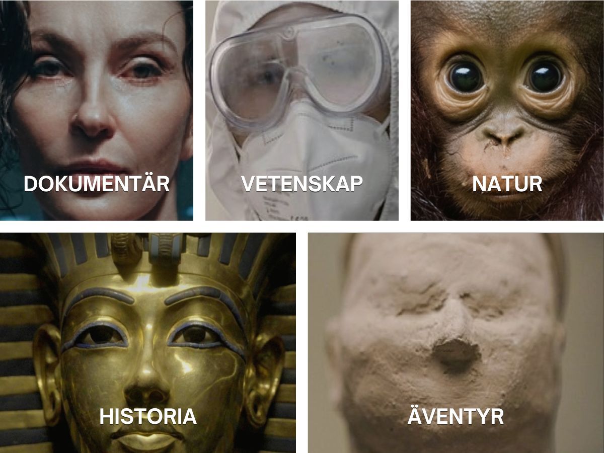 Kunskapskanalens programkategorier